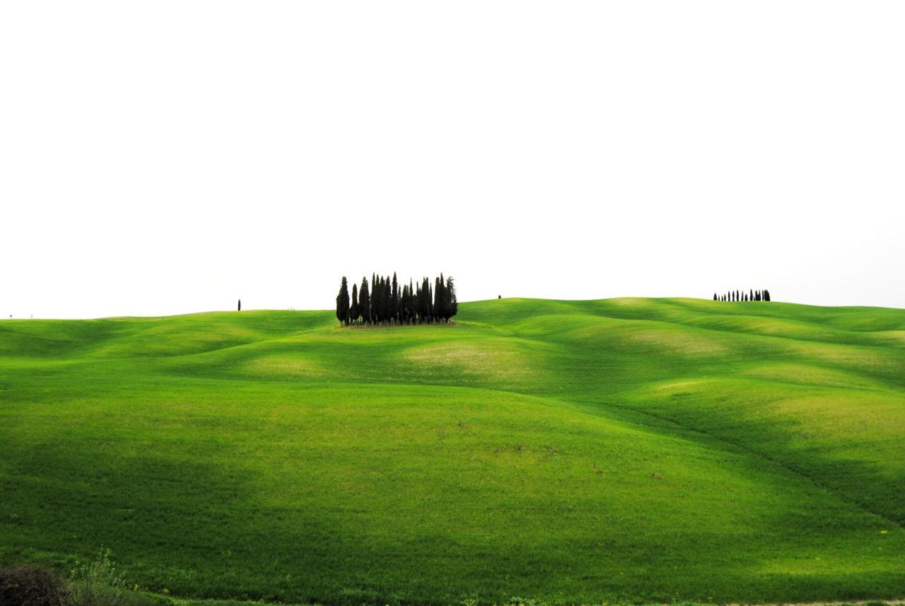 Terisuite 14 Siena Dış mekan fotoğraf
