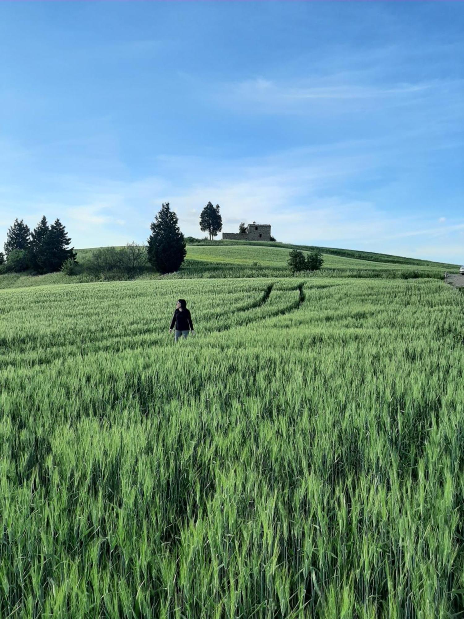 Terisuite 14 Siena Dış mekan fotoğraf